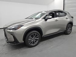 Lexus salvage cars for sale: 2024 Lexus NX 350H Base