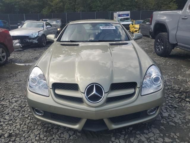 2010 Mercedes-Benz SLK 300