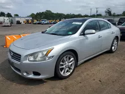 Salvage cars for sale at Hillsborough, NJ auction: 2010 Nissan Maxima S