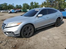 Salvage cars for sale at Baltimore, MD auction: 2013 Honda Crosstour EXL