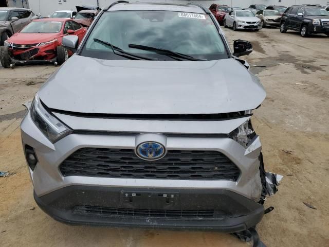 2024 Toyota Rav4 XLE Premium