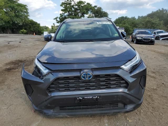 2024 Toyota Rav4 XLE