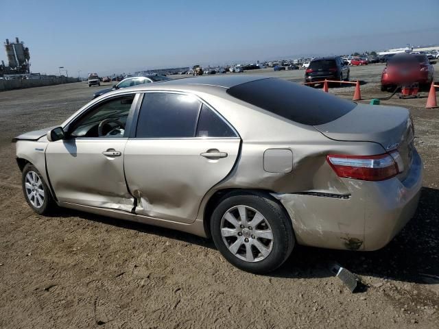 2009 Toyota Camry Hybrid