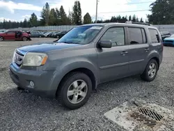 Salvage cars for sale at Graham, WA auction: 2009 Honda Pilot EXL