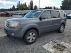 2009 Honda Pilot EXL