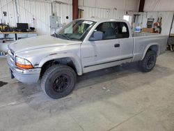 Vehiculos salvage en venta de Copart Billings, MT: 1999 Dodge Dakota