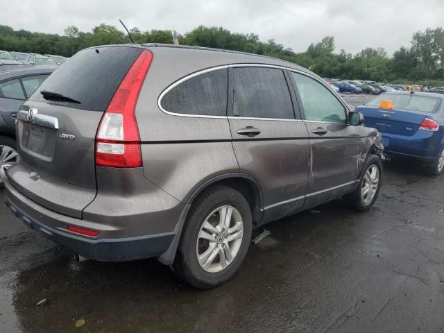 2010 Honda CR-V EXL