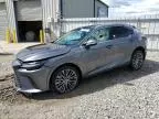 2023 Lexus RX 350 Base