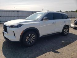 Salvage cars for sale at Fredericksburg, VA auction: 2024 Infiniti QX60 Pure