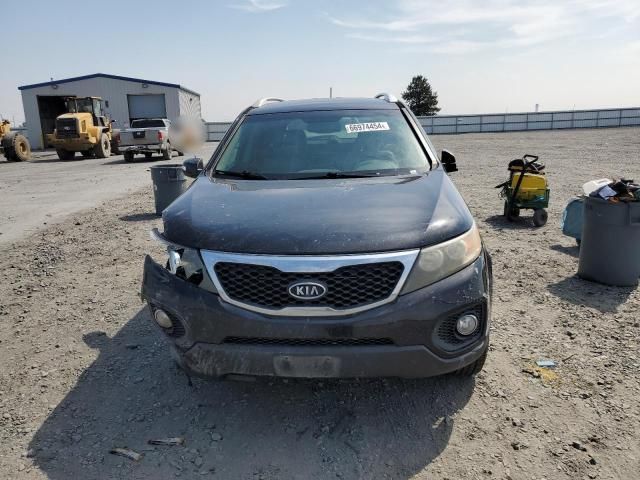 2011 KIA Sorento Base