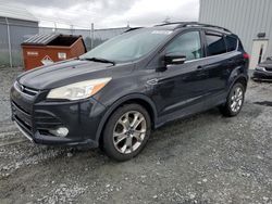 2013 Ford Escape SEL en venta en Elmsdale, NS