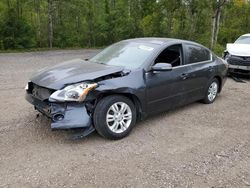 Nissan Vehiculos salvage en venta: 2012 Nissan Altima Base