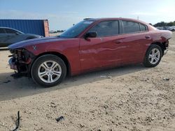 Salvage cars for sale at Arcadia, FL auction: 2023 Dodge Charger SXT