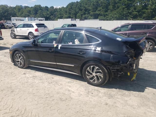 2020 Hyundai Sonata Hybrid