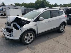 Ford salvage cars for sale: 2014 Ford Escape SE