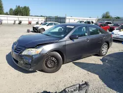 Salvage cars for sale at Arlington, WA auction: 2010 Toyota Camry Base