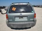 2007 Ford Escape XLT