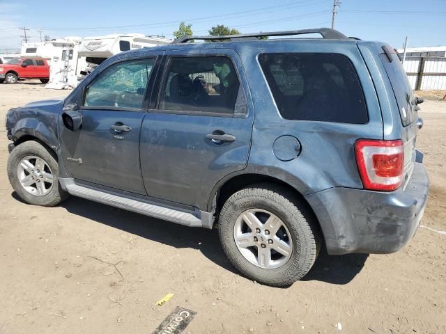 2011 Ford Escape Hybrid