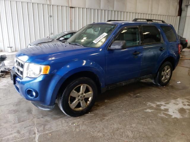 2011 Ford Escape XLT