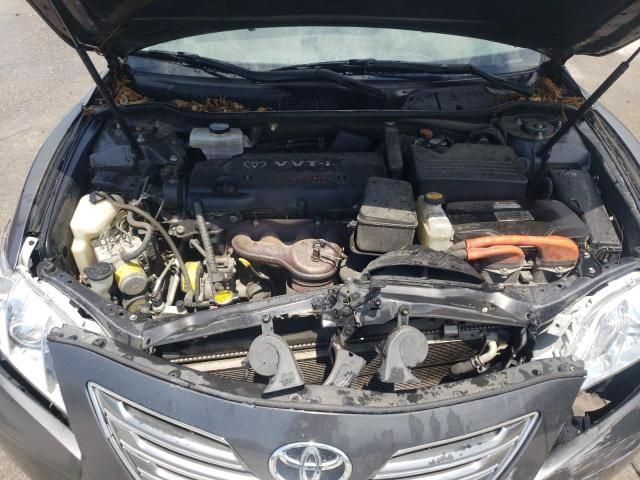 2009 Toyota Camry Hybrid