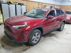 Toyota salvage cars for sale: 2024 Toyota Rav4 XLE