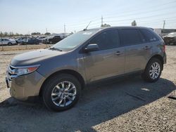 Salvage cars for sale at Eugene, OR auction: 2013 Ford Edge SEL