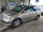 2007 Honda Odyssey EXL