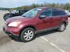 2008 Honda CR-V EX