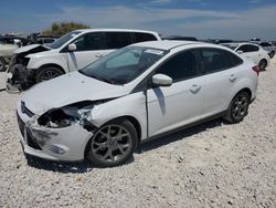 Salvage cars for sale at Taylor, TX auction: 2013 Ford Focus SE