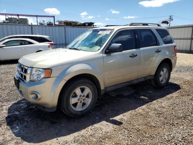 2011 Ford Escape XLS