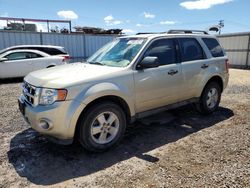 Ford Vehiculos salvage en venta: 2011 Ford Escape XLS