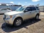 2011 Ford Escape XLS