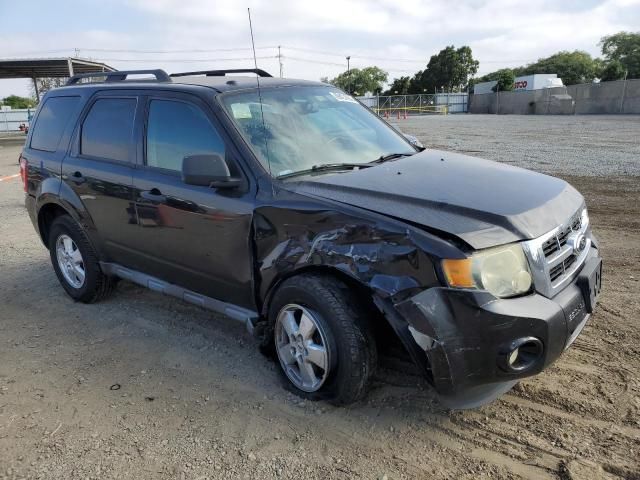 2011 Ford Escape XLT