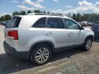 2011 KIA Sorento EX