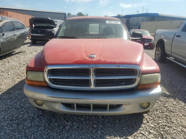 2002 Dodge Dakota SLT