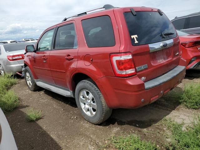 2009 Ford Escape Limited