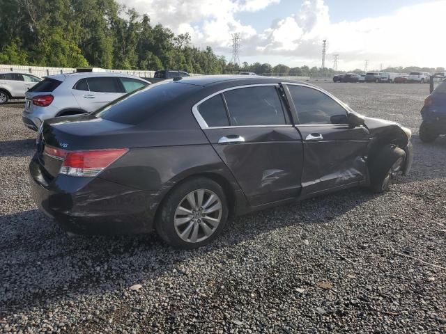 2011 Honda Accord EXL