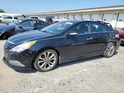 Salvage cars for sale at Louisville, KY auction: 2014 Hyundai Sonata SE