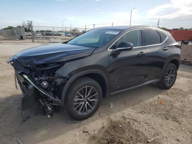 2024 Lexus NX 250 Premium