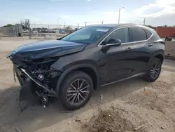 Lexus salvage cars for sale: 2024 Lexus NX 250 Premium