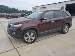 Salvage cars for sale at Gaston, SC auction: 2013 KIA Sorento EX