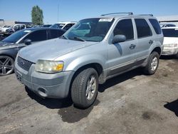 Ford salvage cars for sale: 2005 Ford Escape XLT