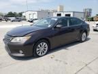 2013 Lexus ES 300H