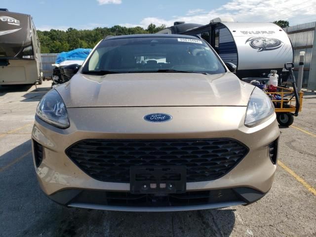 2020 Ford Escape SE Sport