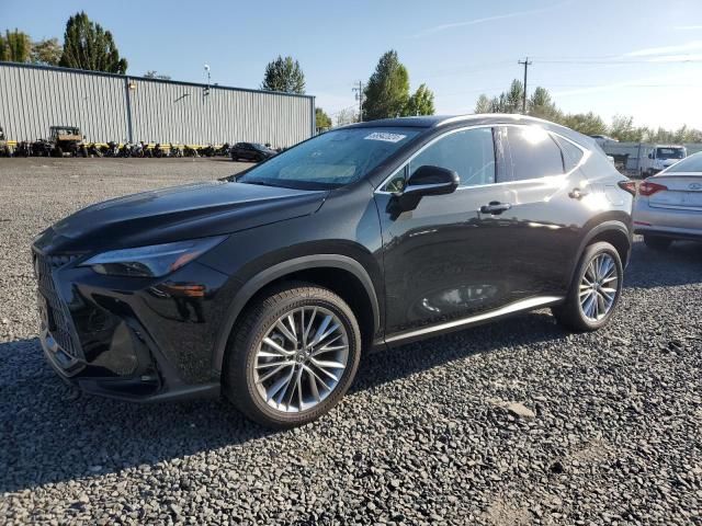 2024 Lexus NX 350 Luxury