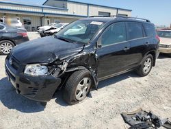 Salvage cars for sale at Earlington, KY auction: 2012 Toyota Rav4