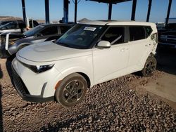 Salvage cars for sale at Phoenix, AZ auction: 2023 KIA Soul EX