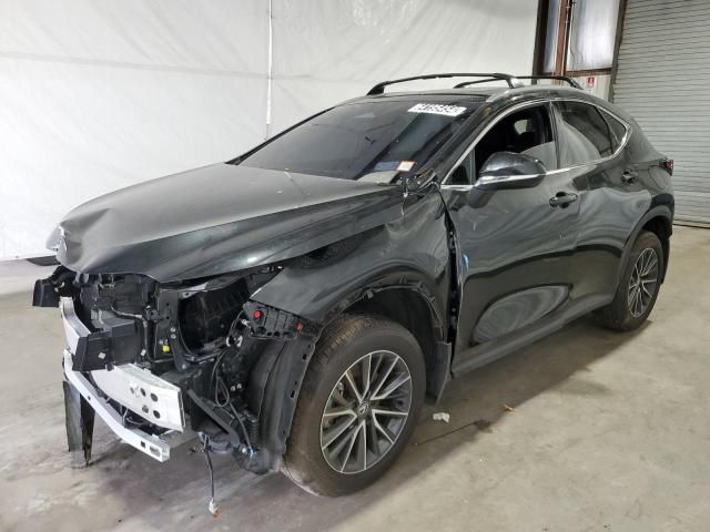 2024 Lexus NX 350H Base