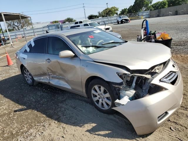 2009 Toyota Camry Hybrid