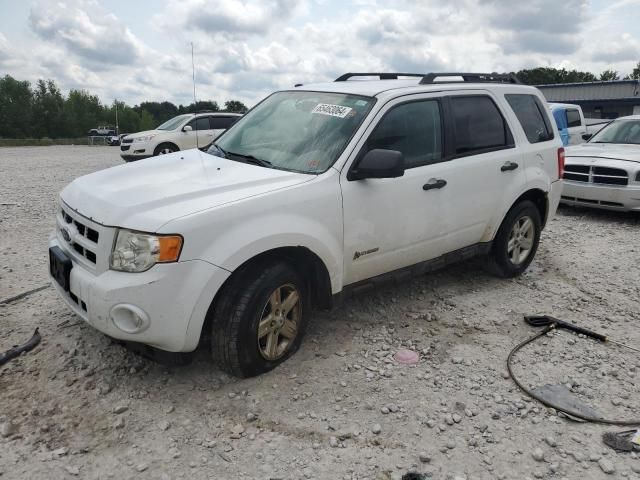 2009 Ford Escape Hybrid